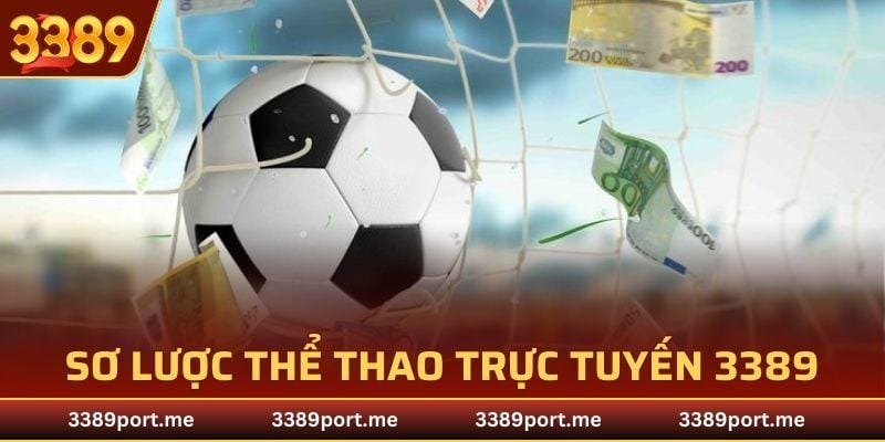 Bạn còn có thể trực tiếp tham gia vào những trò chơi thể thao