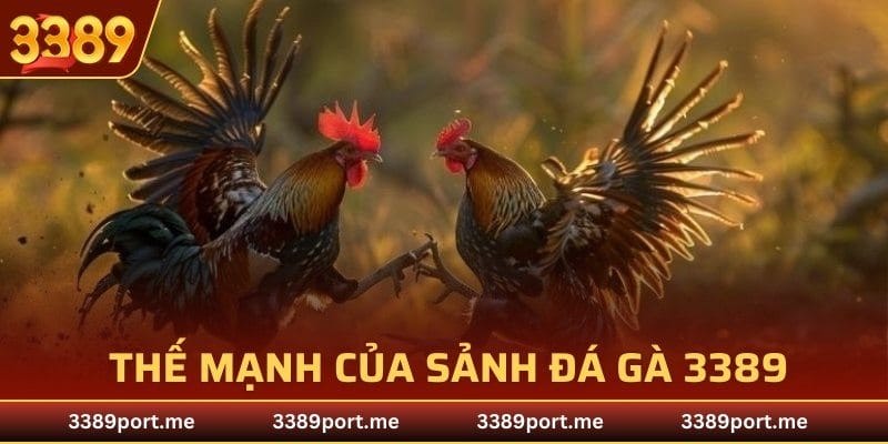 Đánh giá thế mạnh của sảnh đá gà 3389