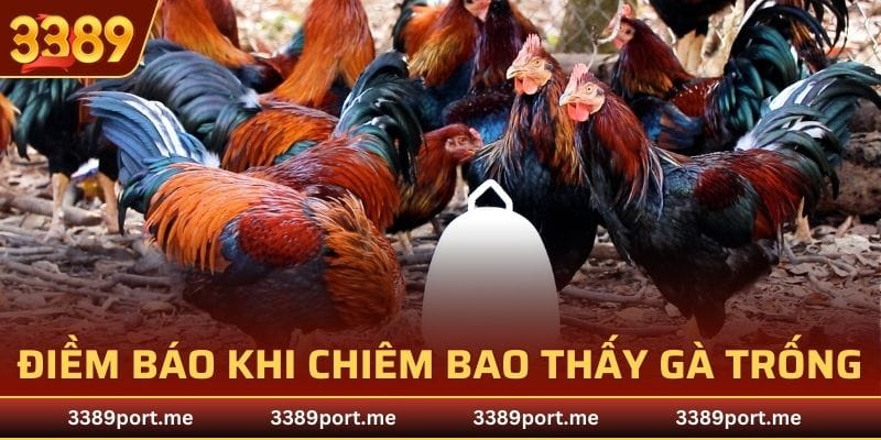 Điềm báo khi chiêm bao thấy gà trống