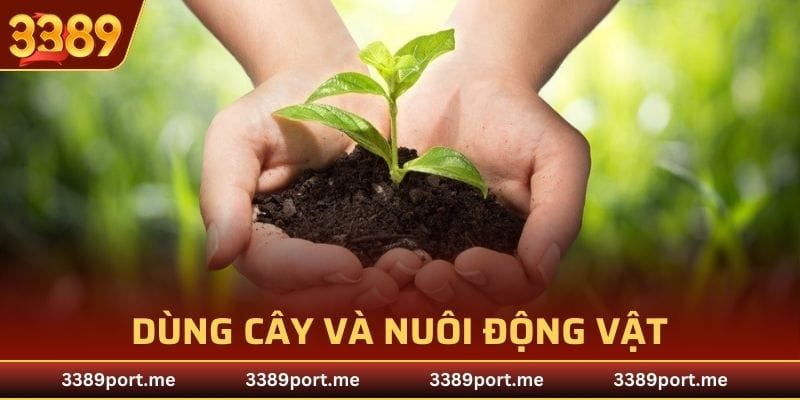 Dùng cây và nuôi động vật