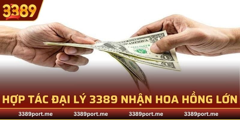 Hợp tác đại lý 3389 cơ hội nhận hoa hồng lớn