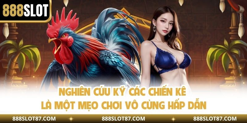 Nghiên cứu kỹ các chiến kê là một mẹo chơi vô cùng hấp dẫn